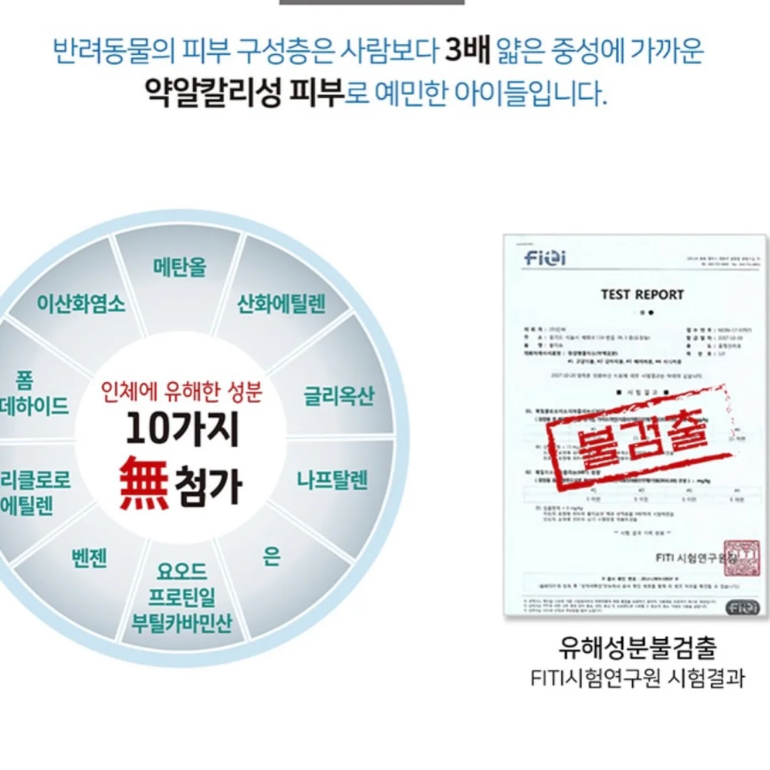 푸들 벽시계 7