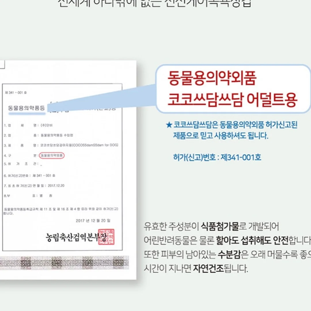 푸들 벽시계 8