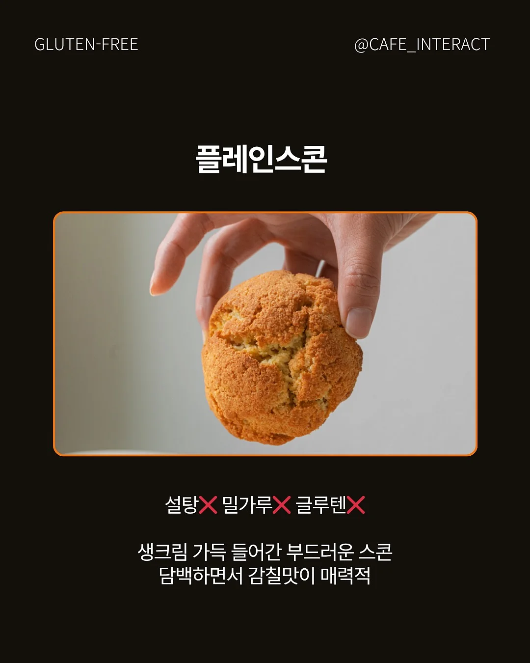 다이어트 정보 13