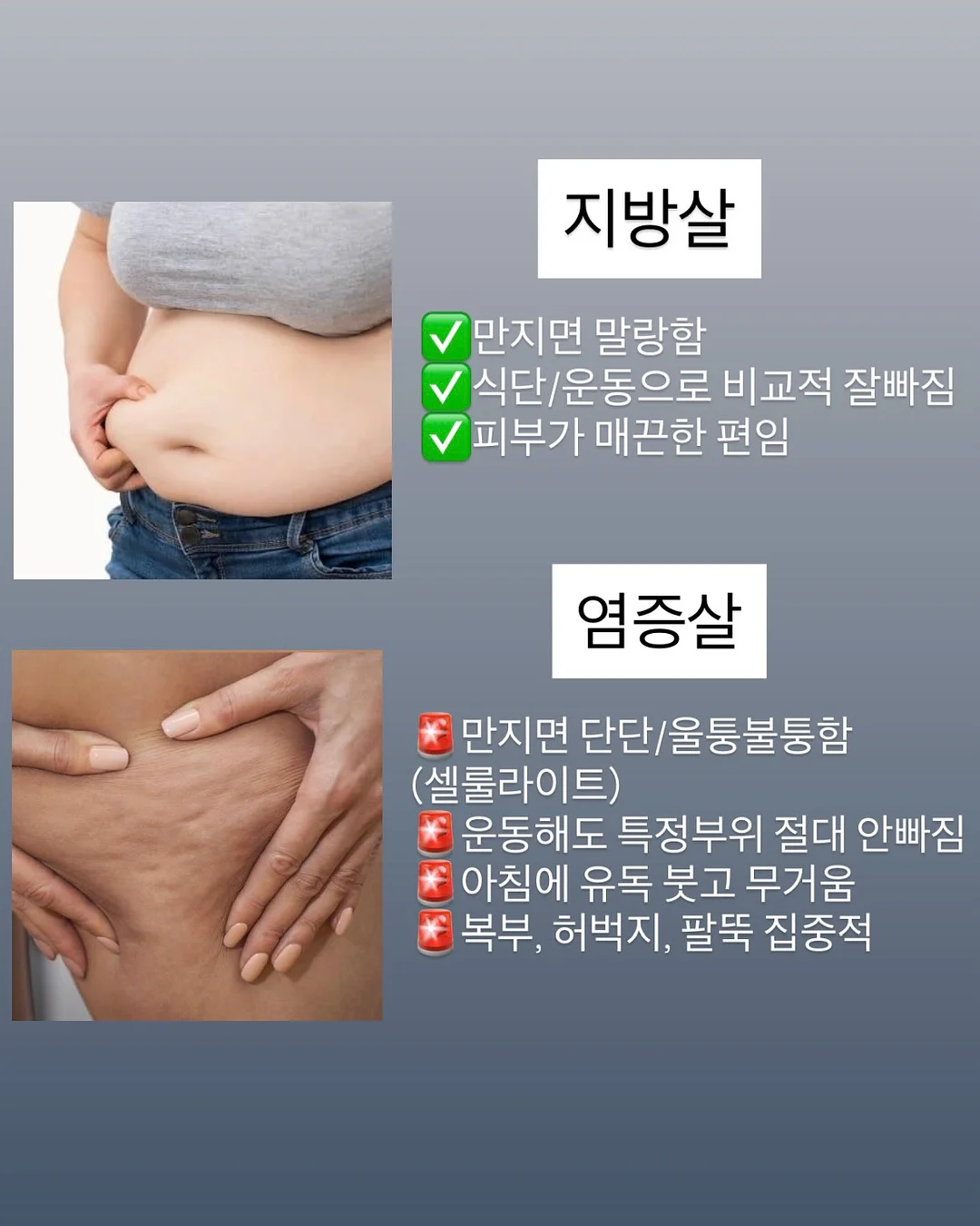 히말라야 실키스노우 여름 침구세트 2