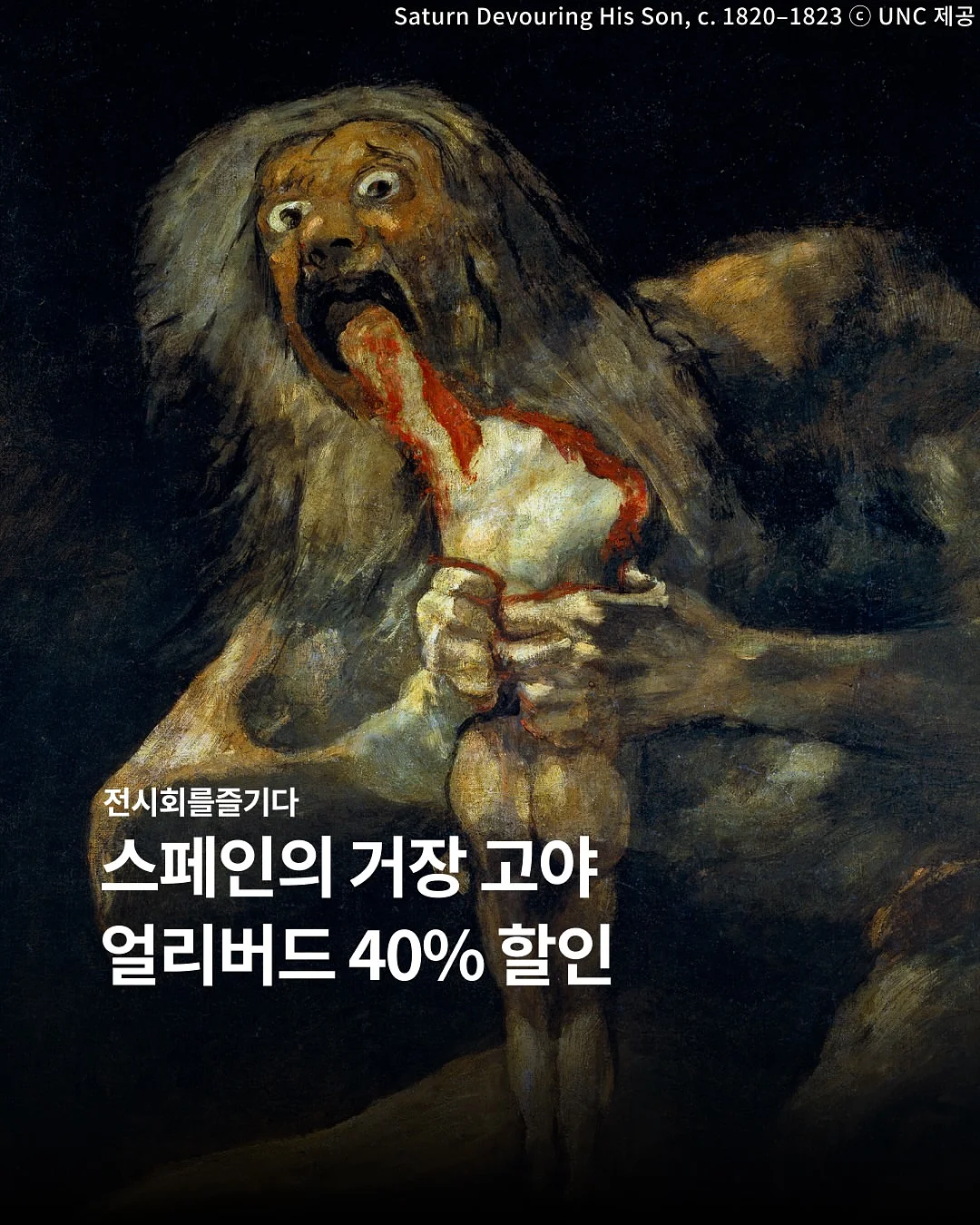 레이스스커트 1