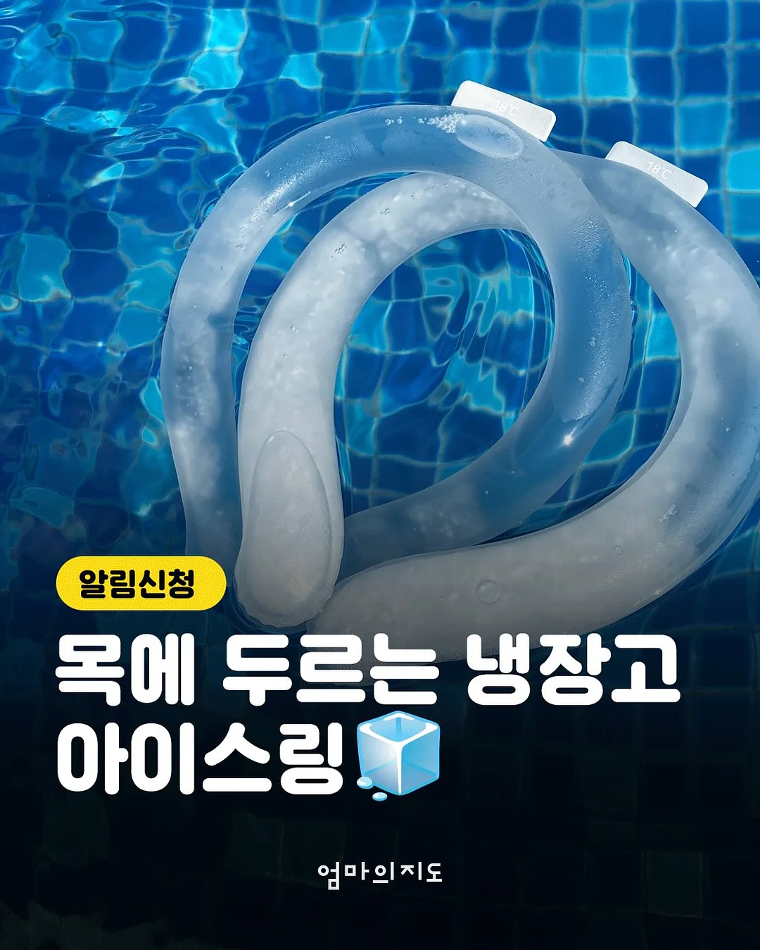 신상 의류 1