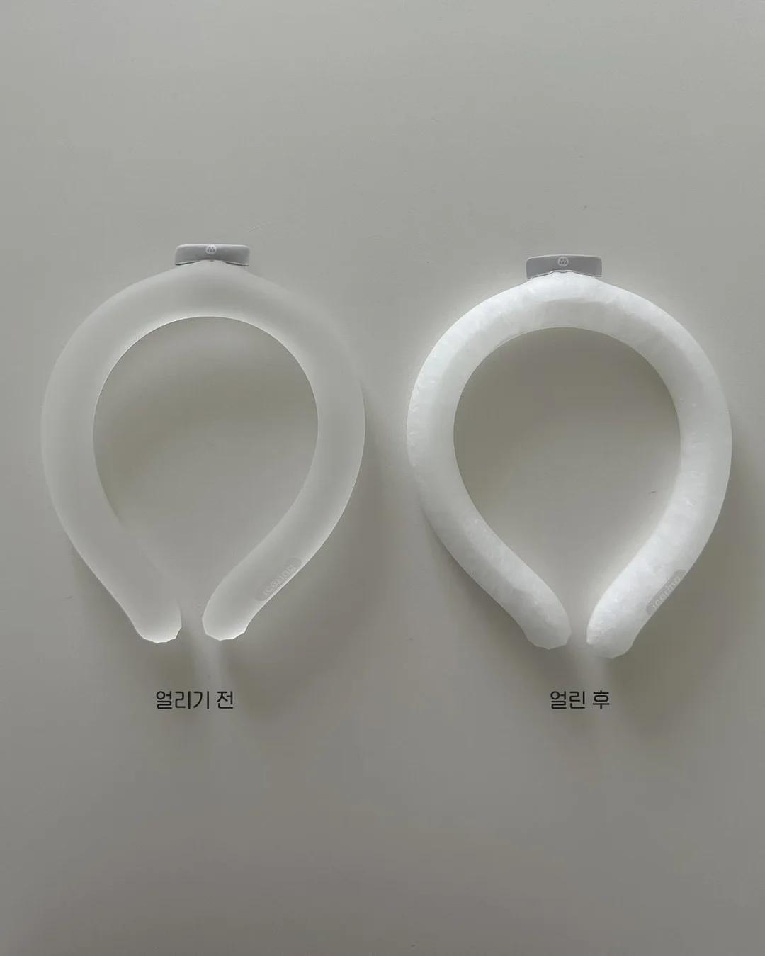 신상 의류 4