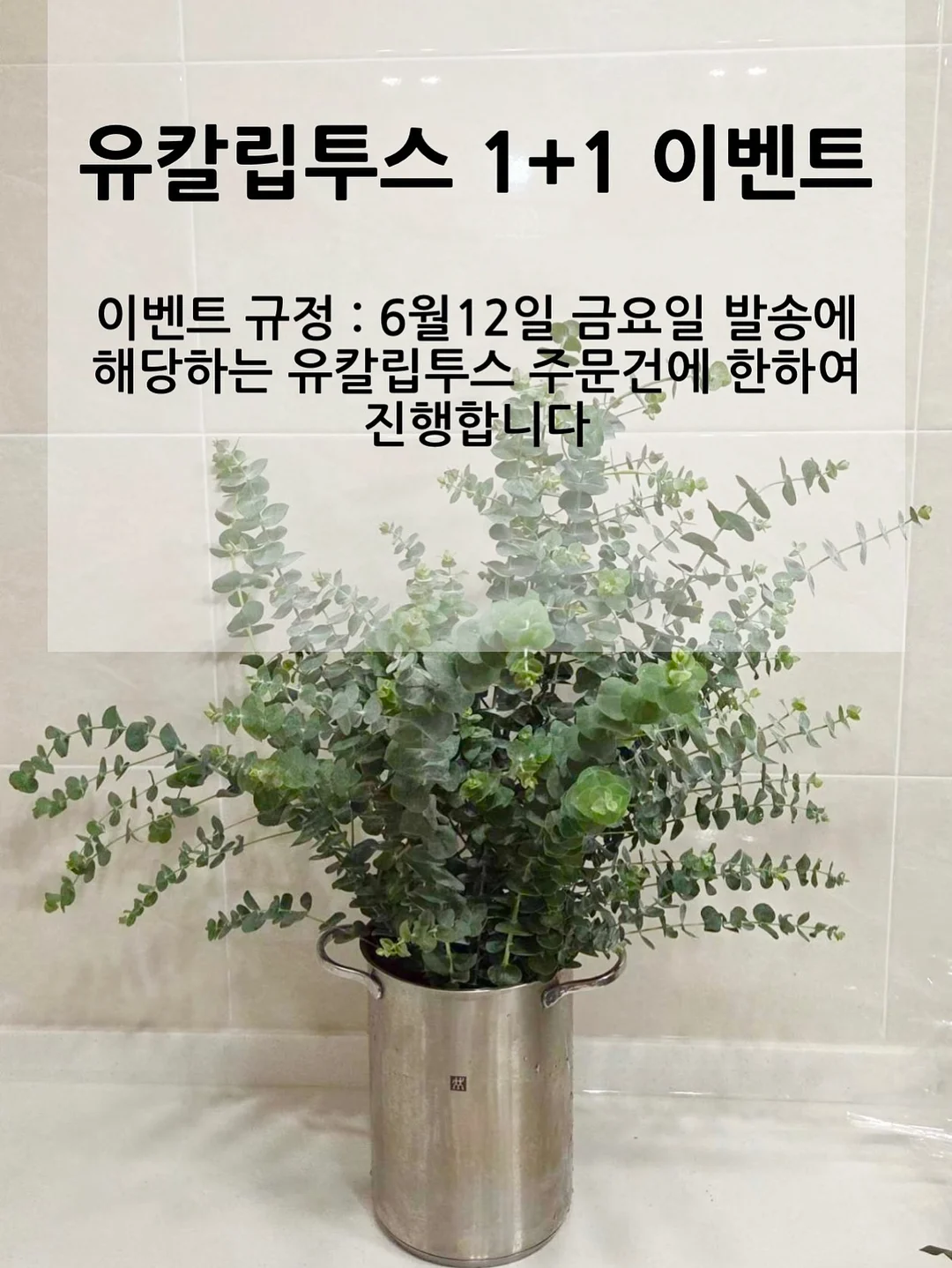 케이맘 모기기피제