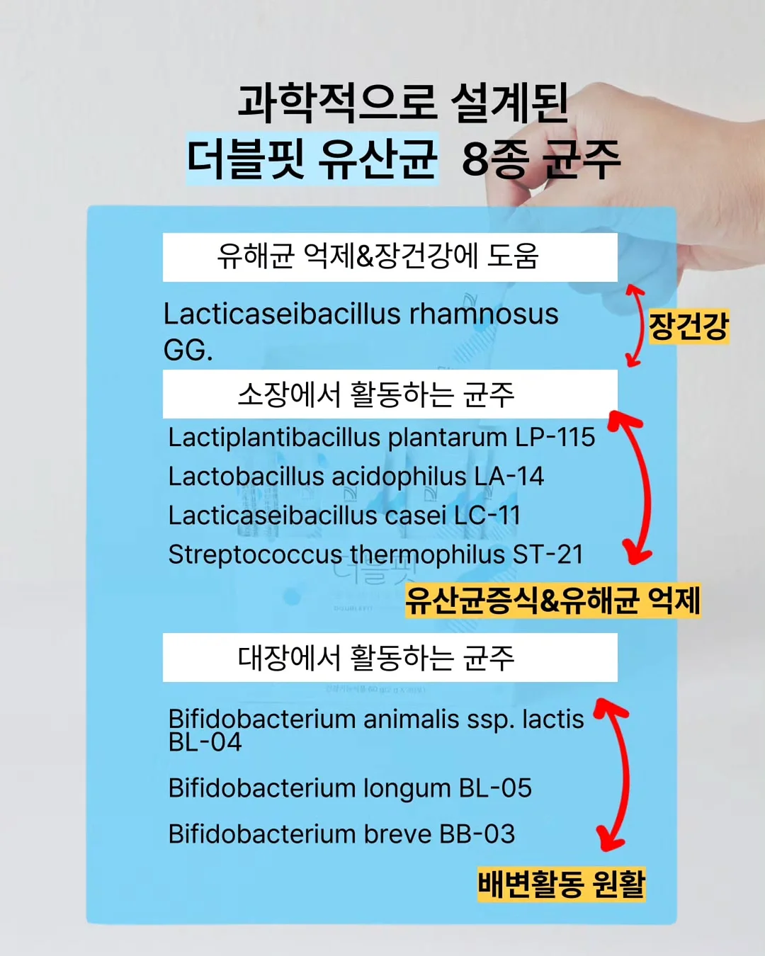 주름삭제립 7