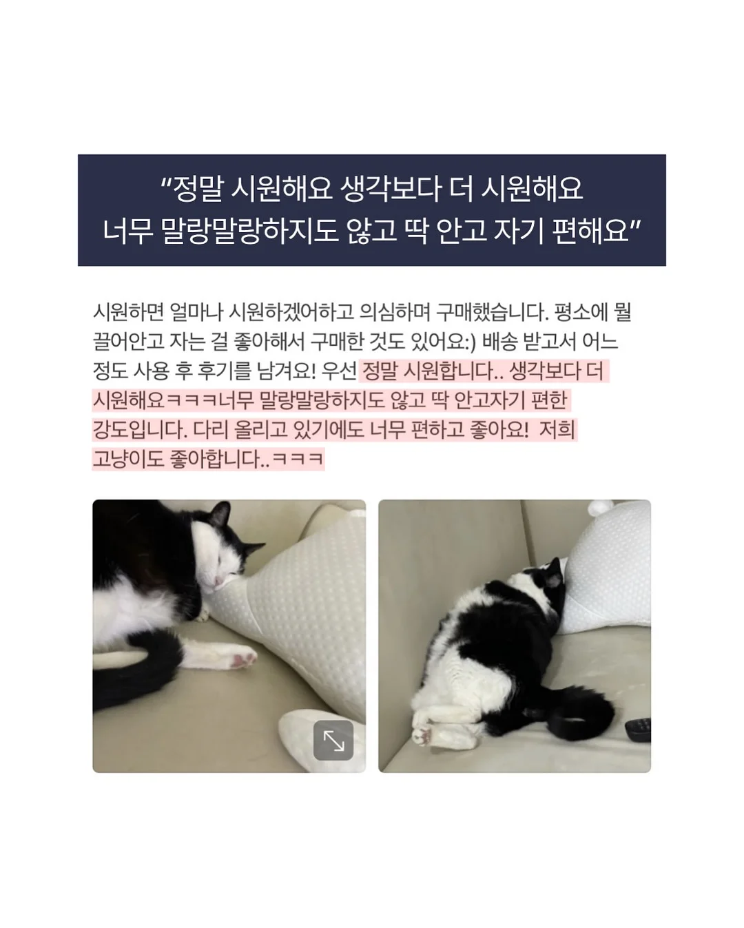 모모앤 옷 19