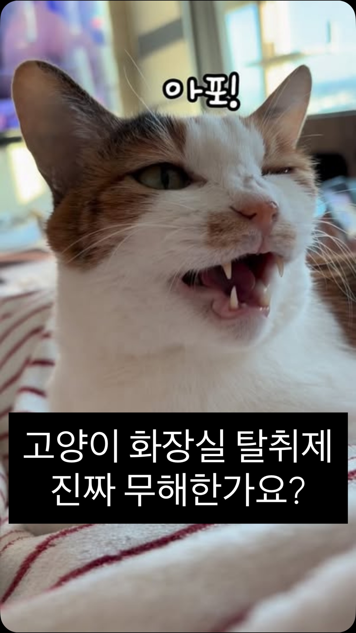 로코주얼리 아쿠아마린 & 진주 롱 목걸이