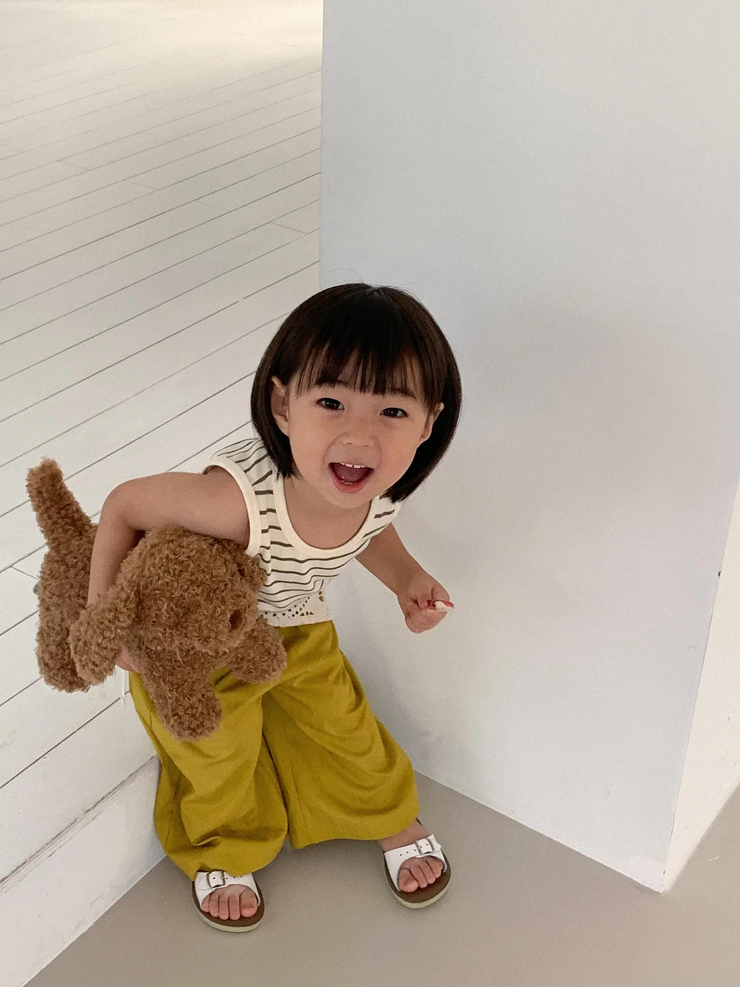 기내반입 트라이크 캐리어 12