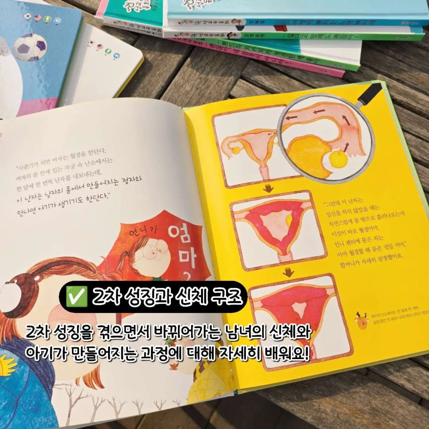 비키니멈무티 8