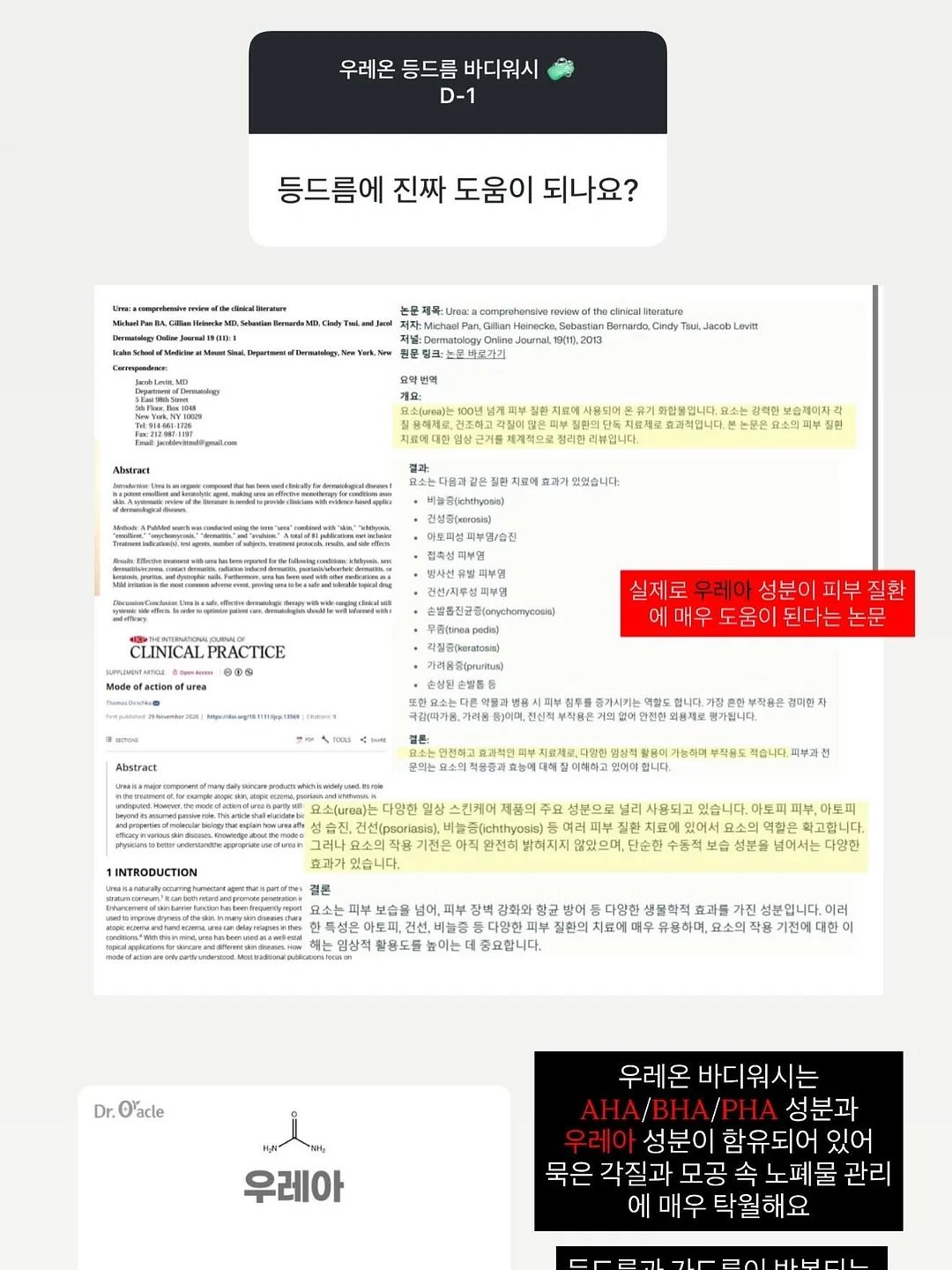 이달의 아트 12