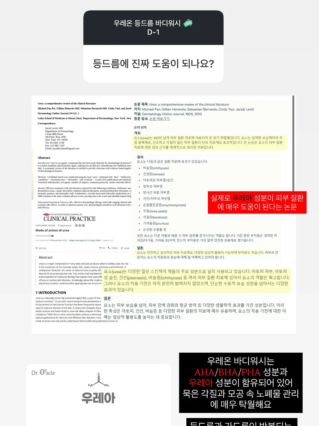 이달의 아트 4