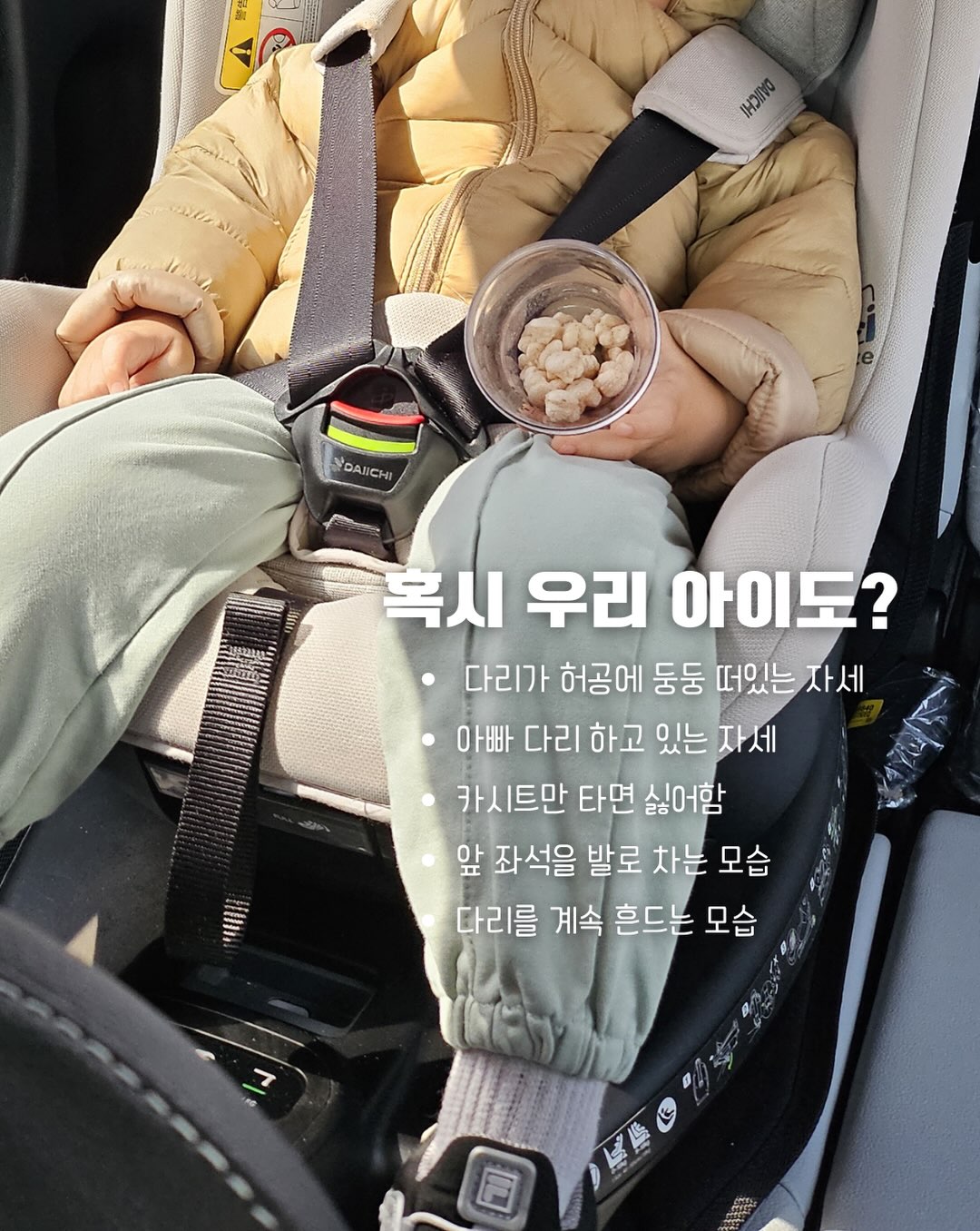 치즈 슬랑이 5