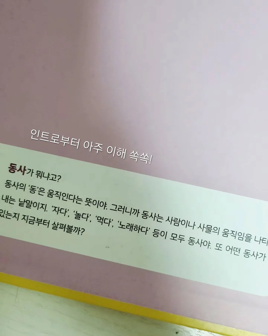 땡땡이바지 4