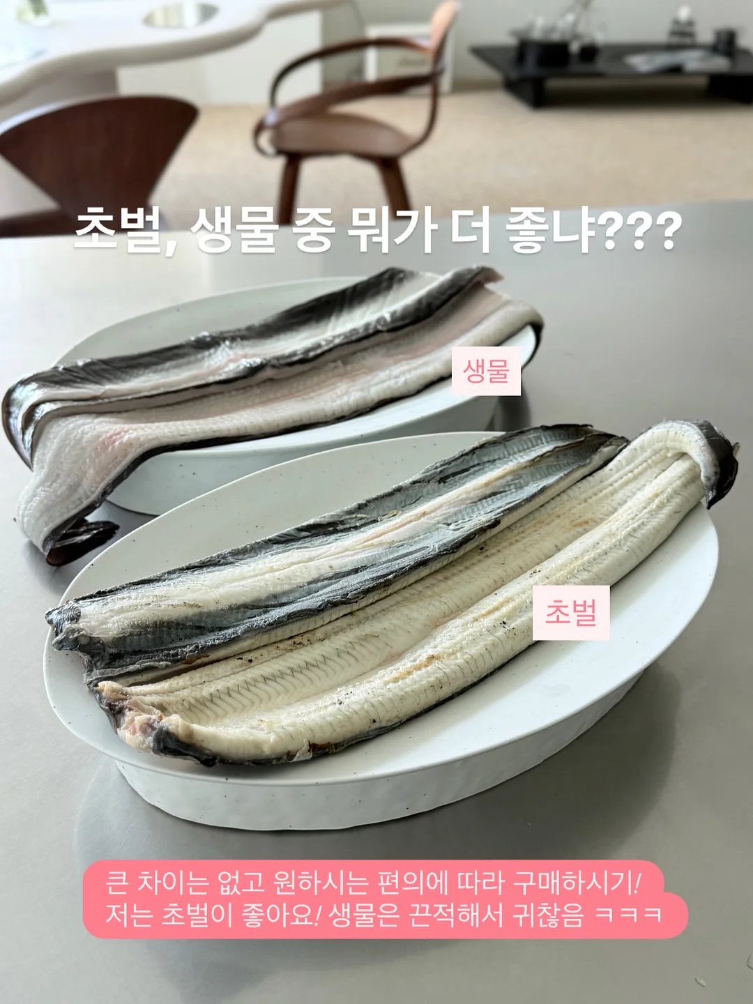 비레디 아웃런 선스틱 3