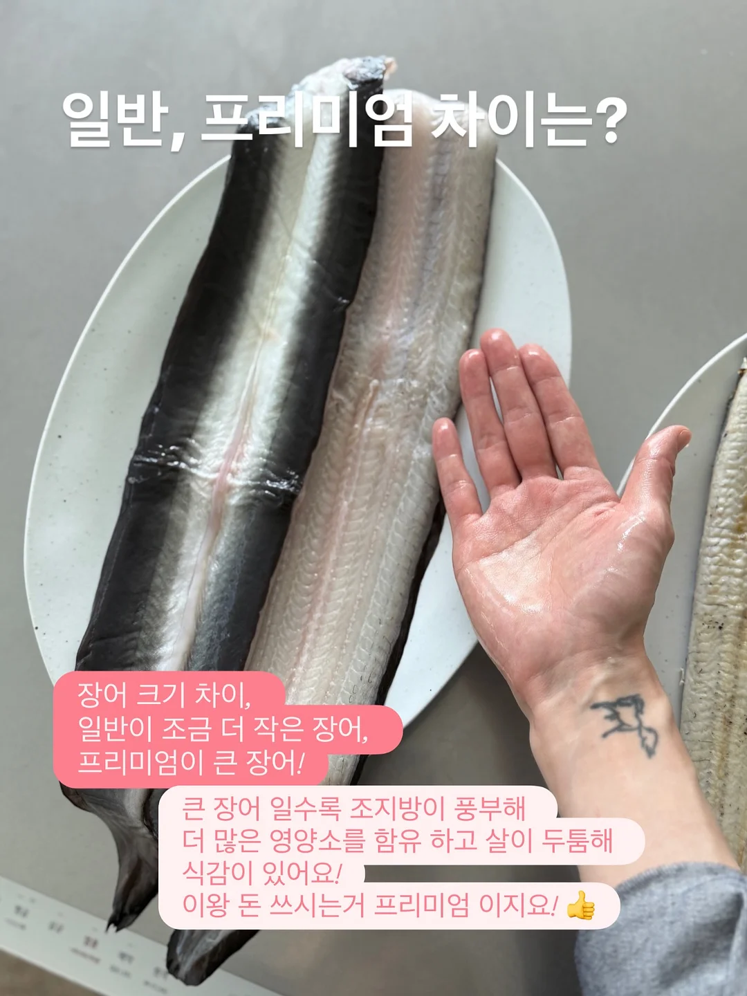 비레디 아웃런 선스틱 4
