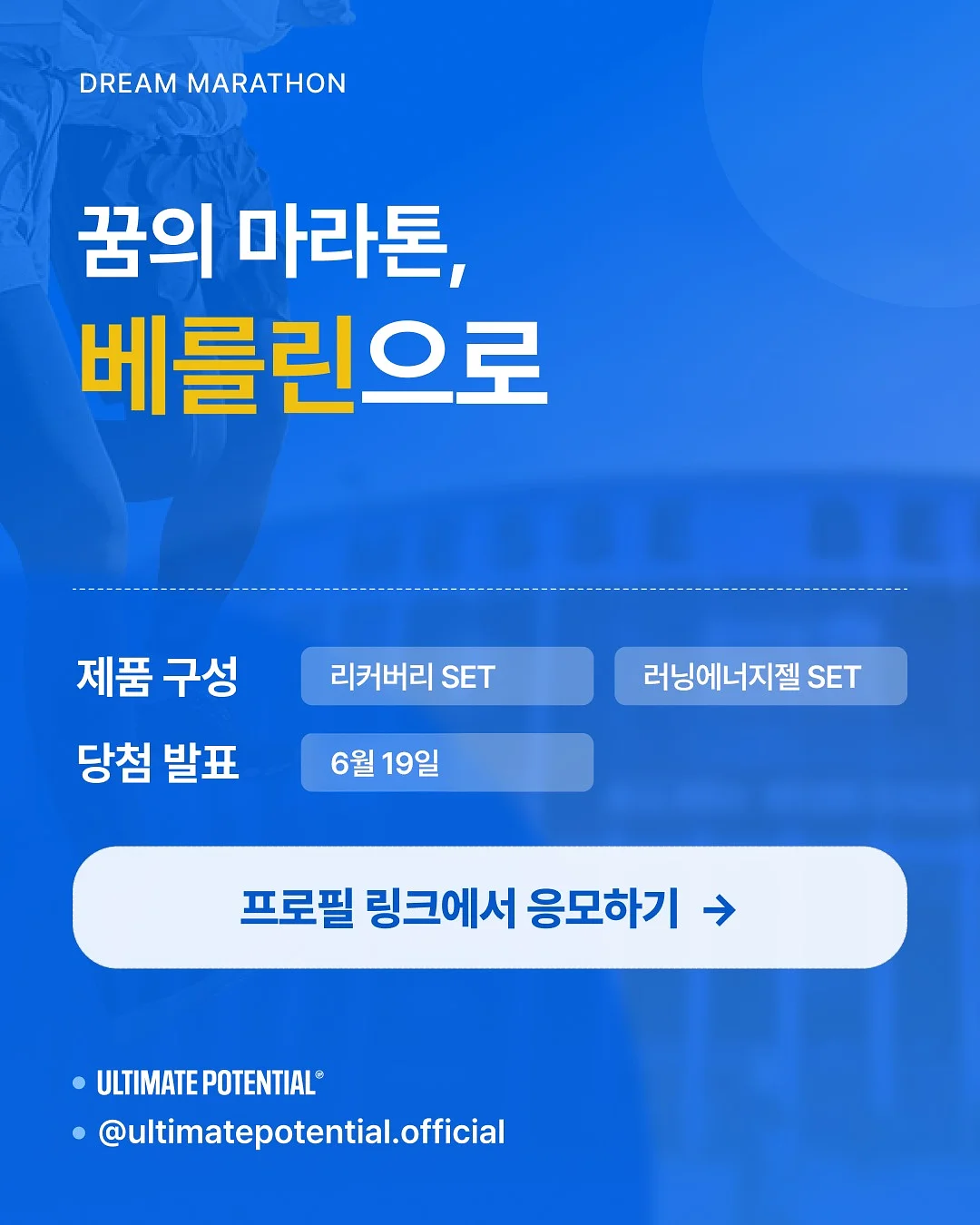 로지킴 비비에센스 6