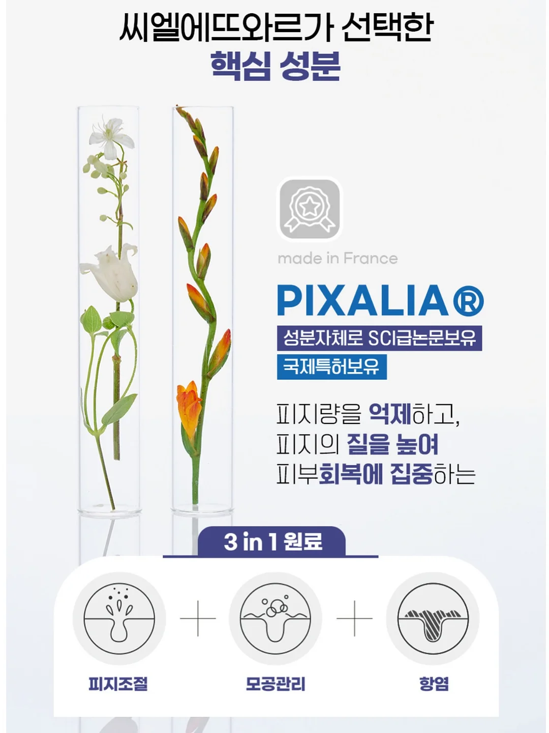 조합 코디 9