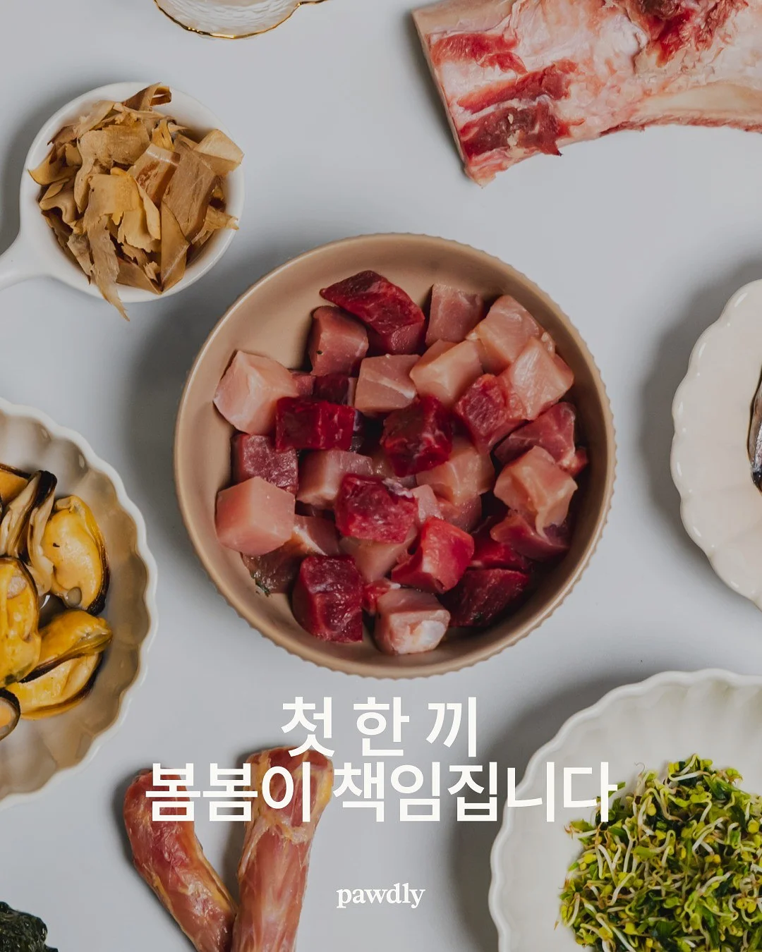 이야기로 배우는 화용언어 교재 1