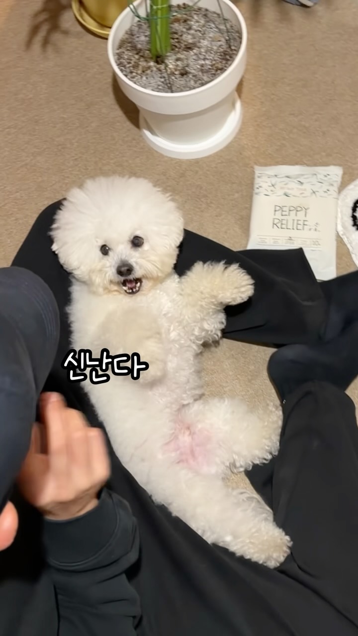 Step2 놀이방 로망템
