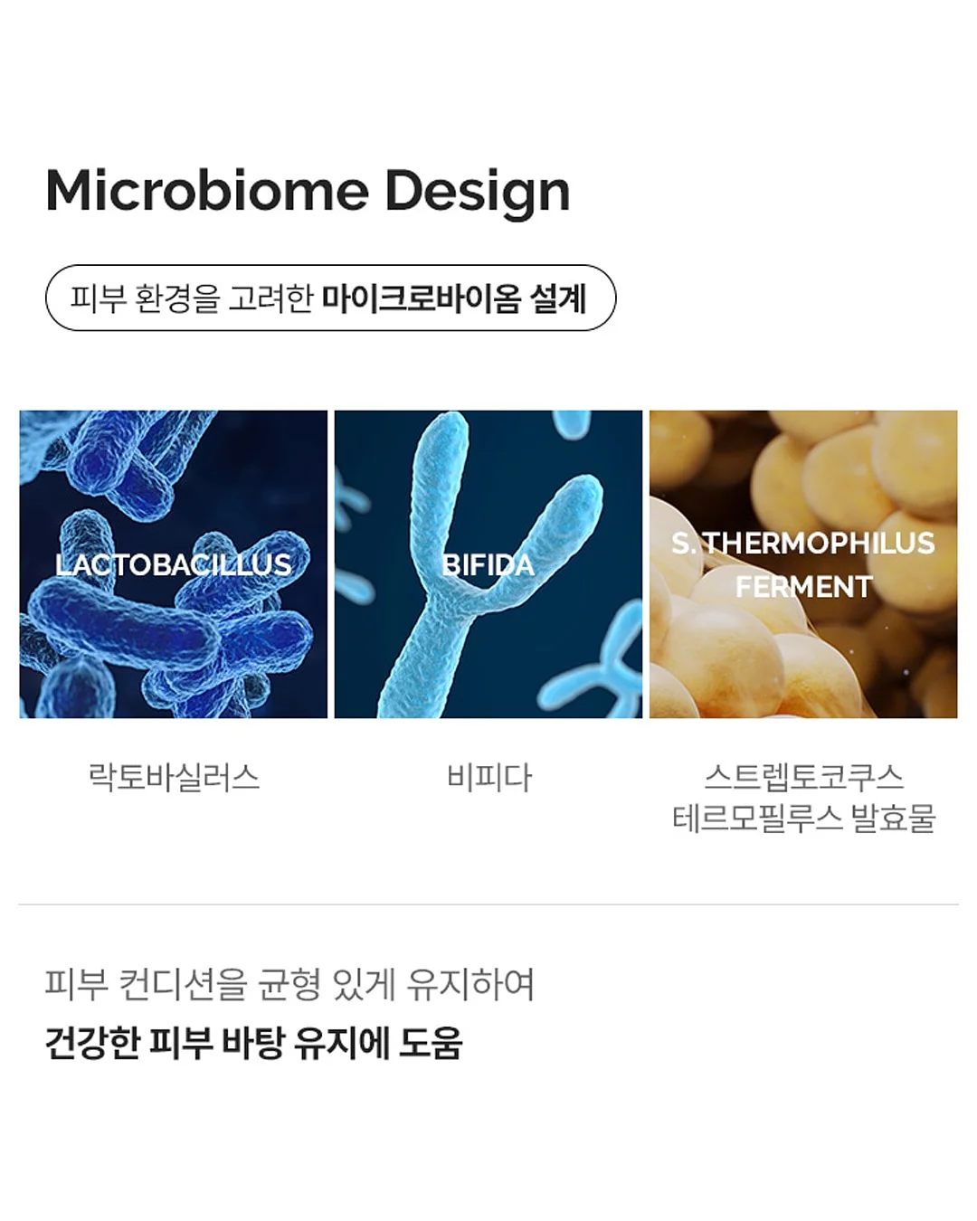 대형스크린 LED스크린 14