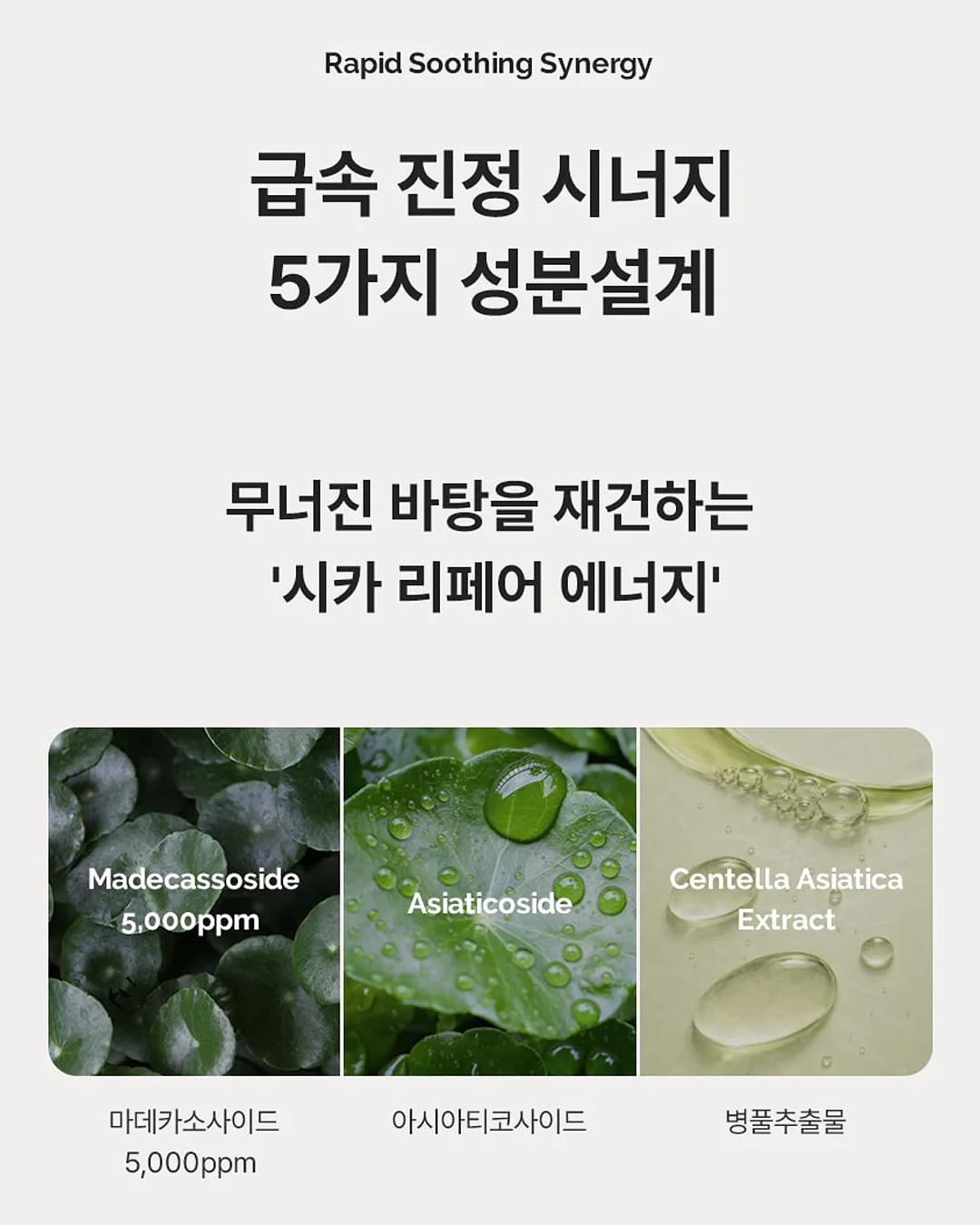 대형스크린 LED스크린 5