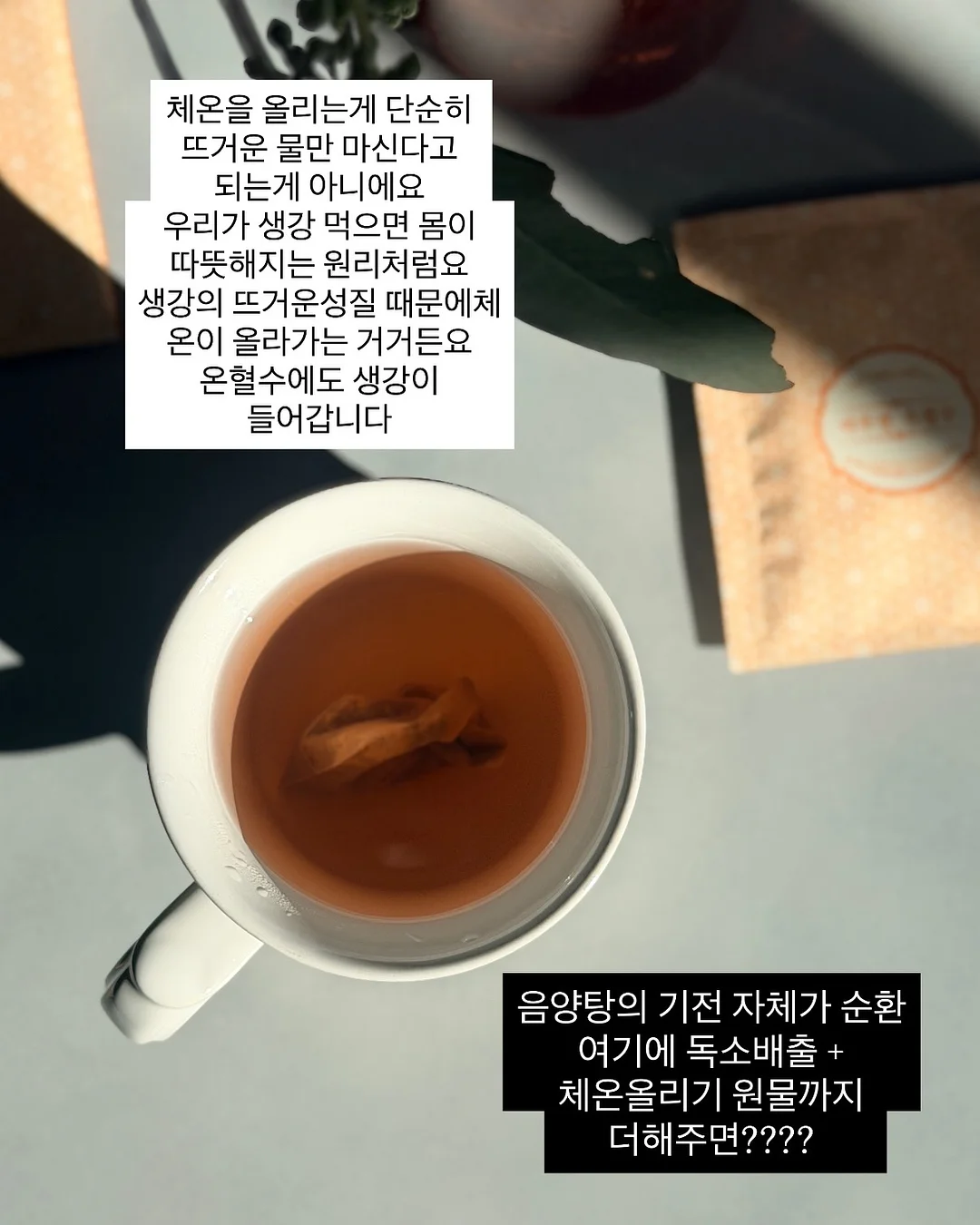 Meshy AI 3D 모델 생성 5