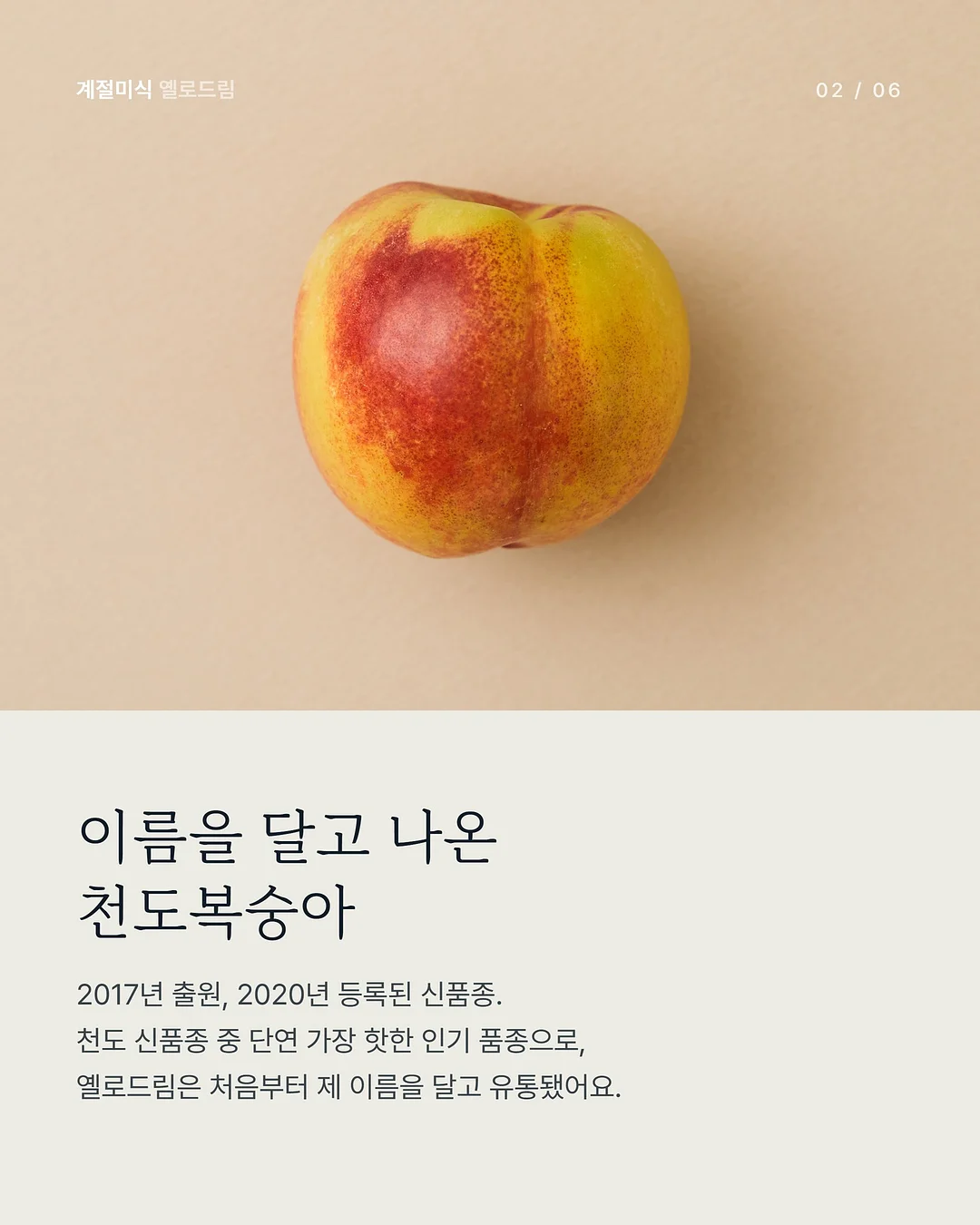미니폰 2