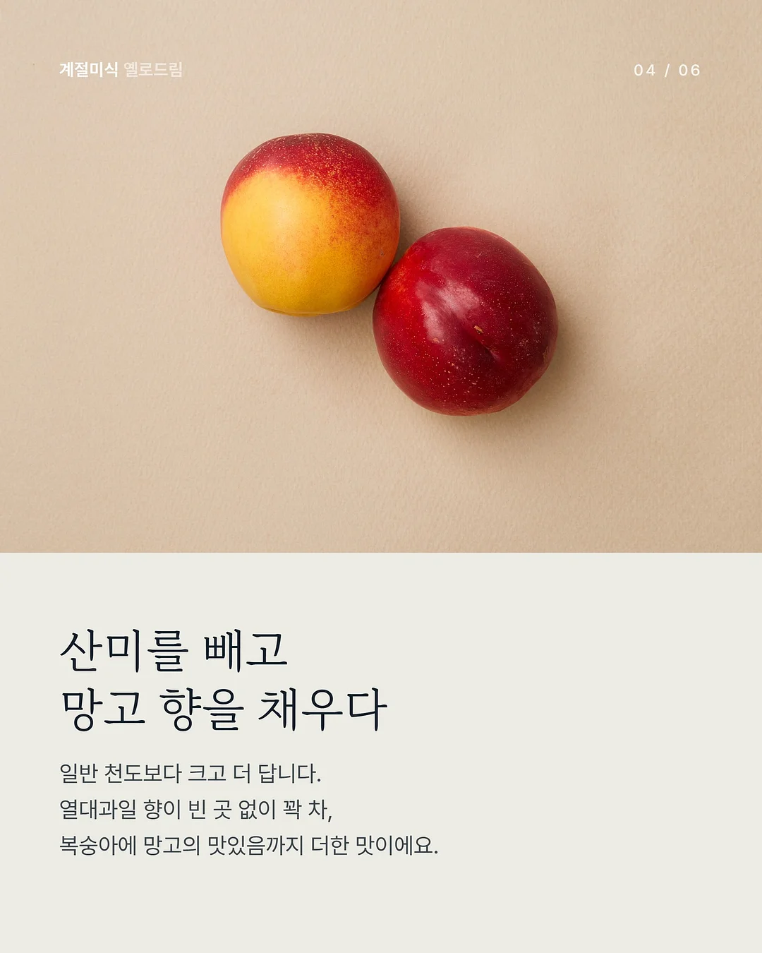 미니폰 4