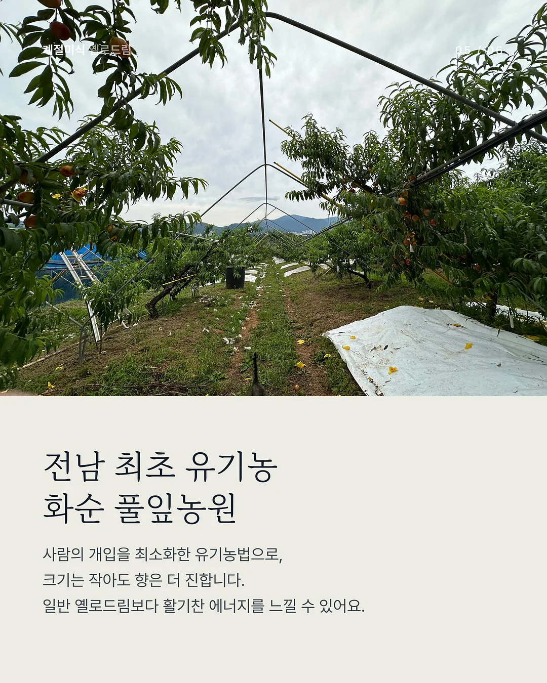 미니폰 5