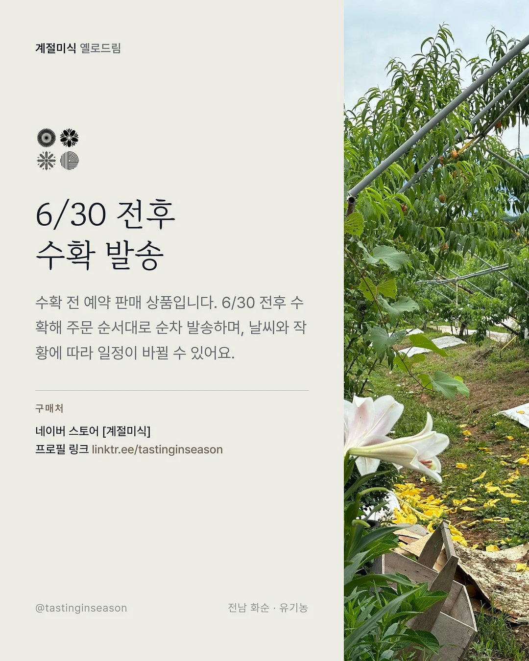 미니폰 6