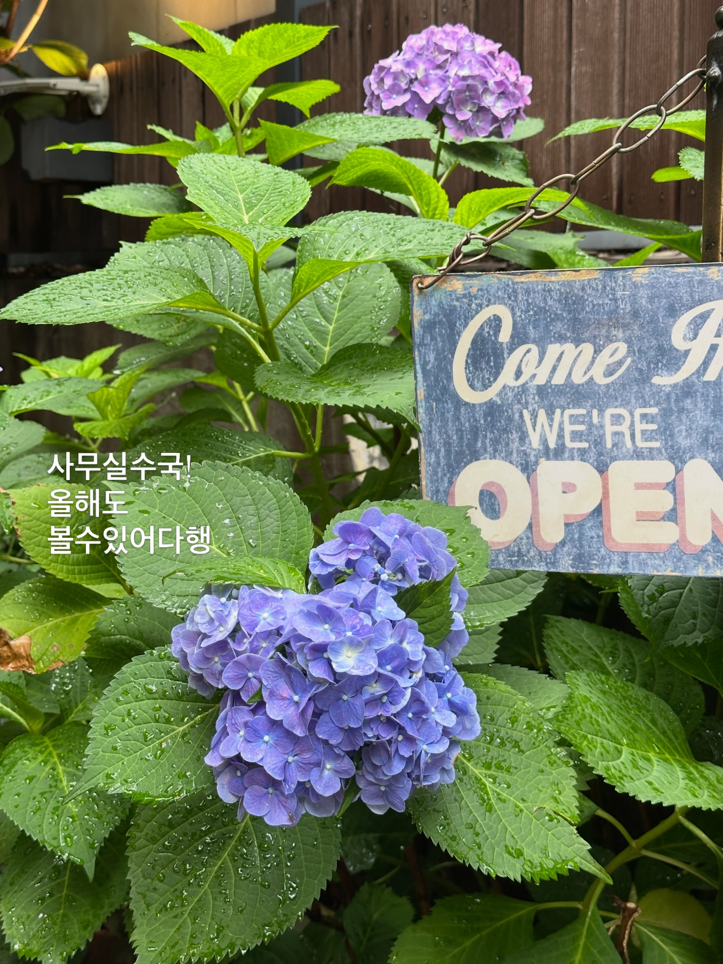 주방 꿀템 3