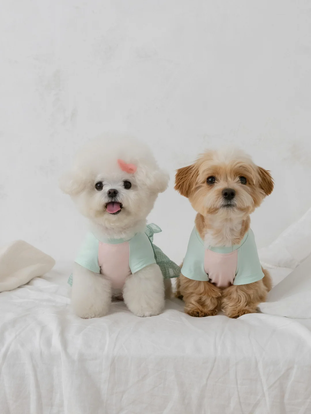 연어우니동 7