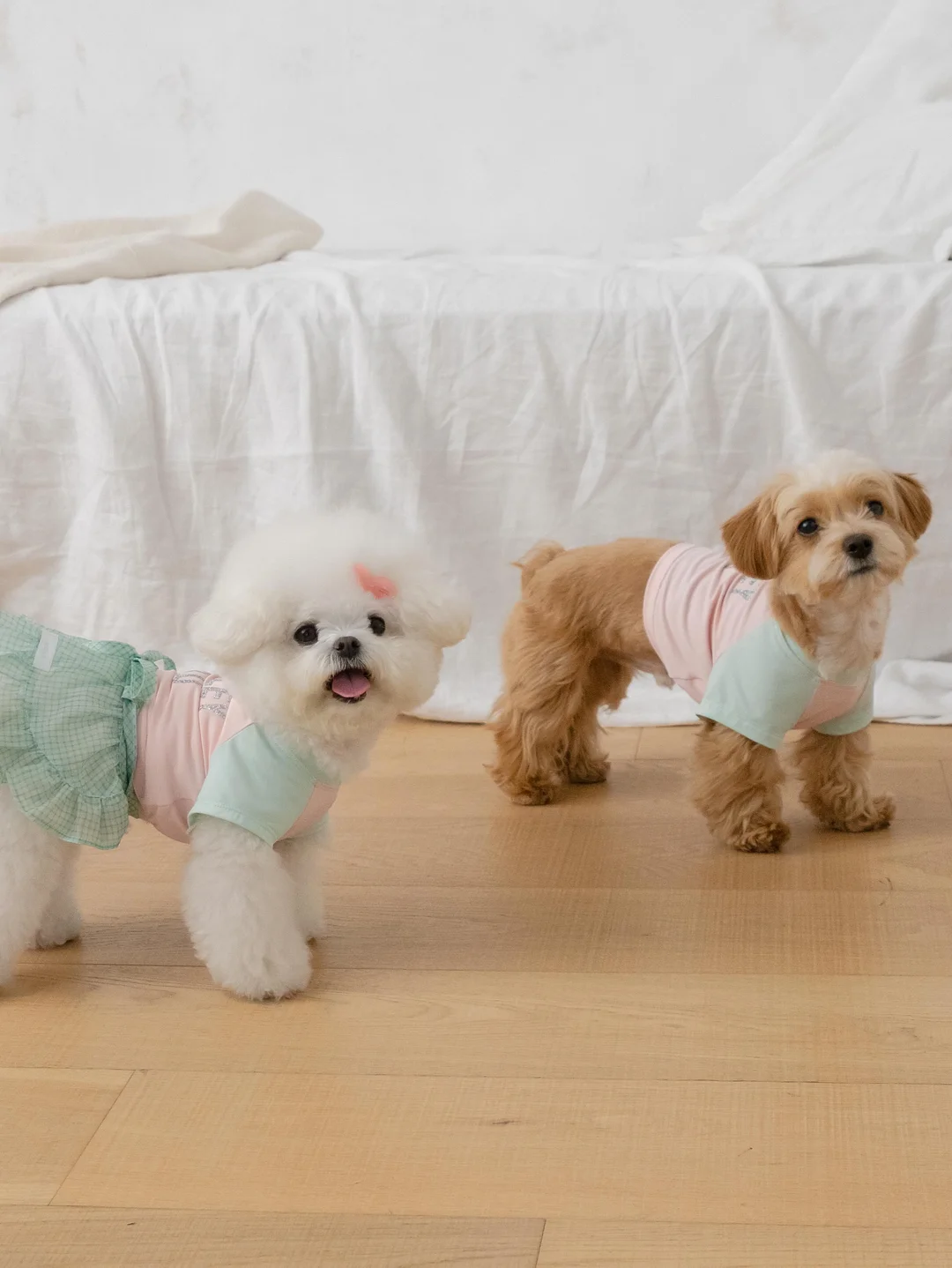 연어우니동 8