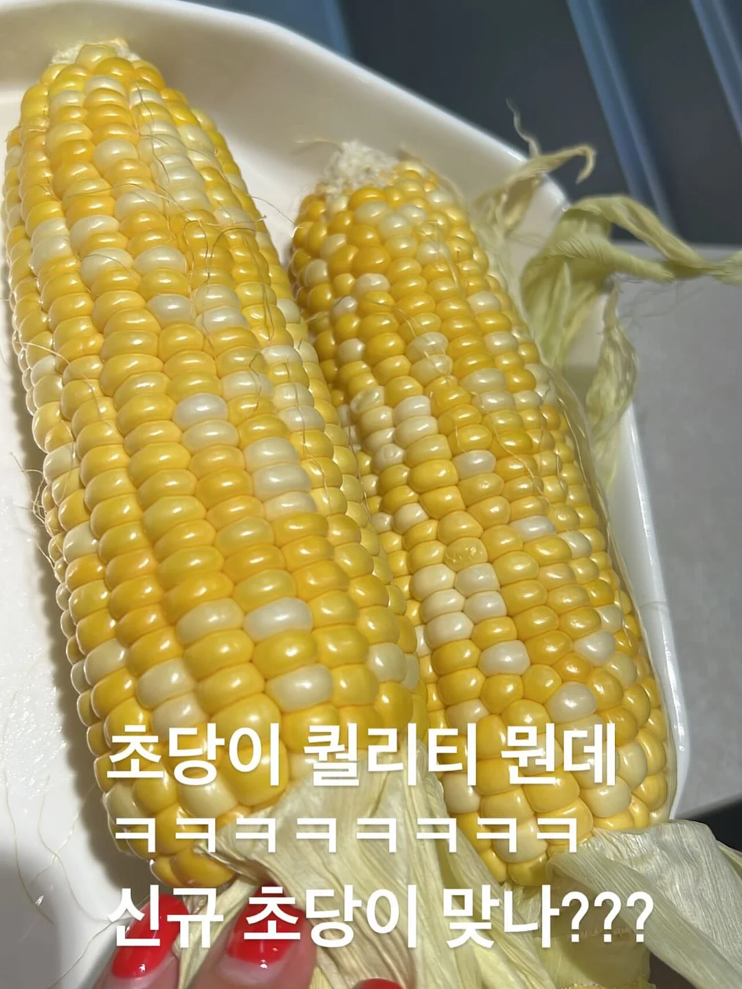 퀸즈마스터즈 입장권 7