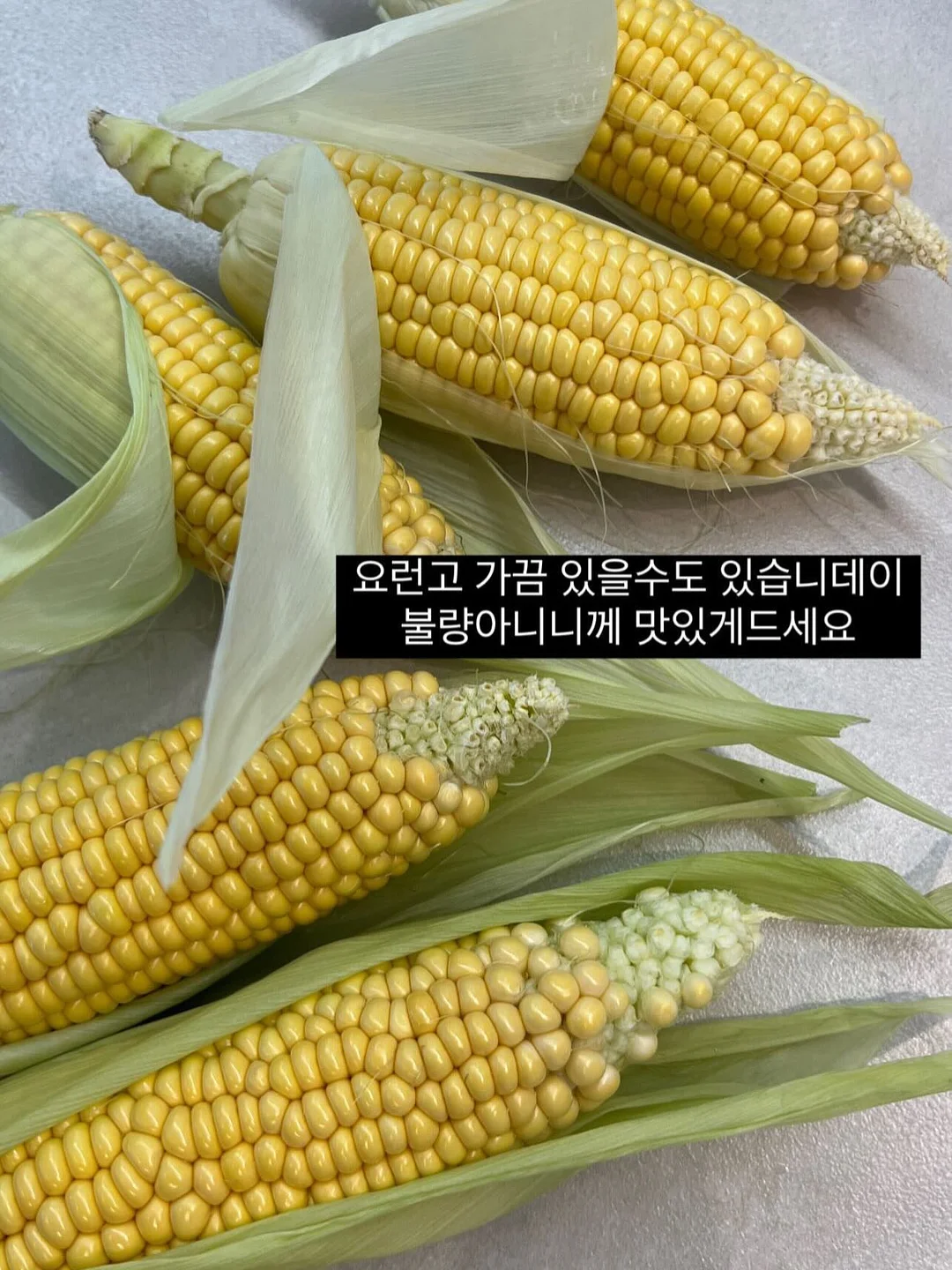 퀸즈마스터즈 입장권 8