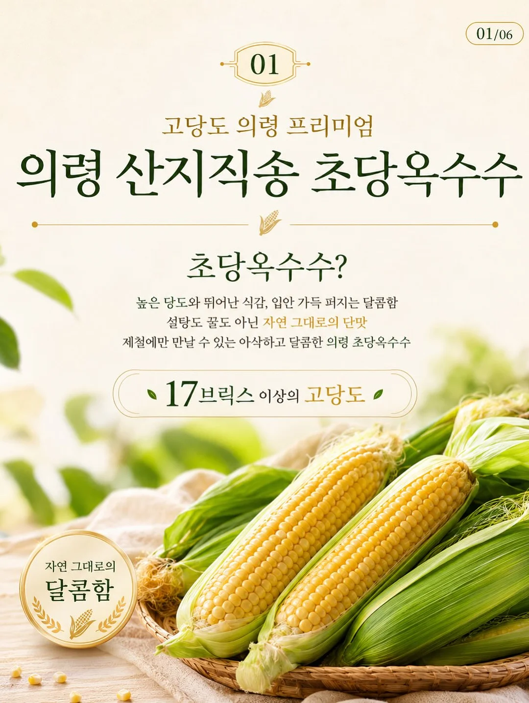 퀸즈마스터즈 입장권 9