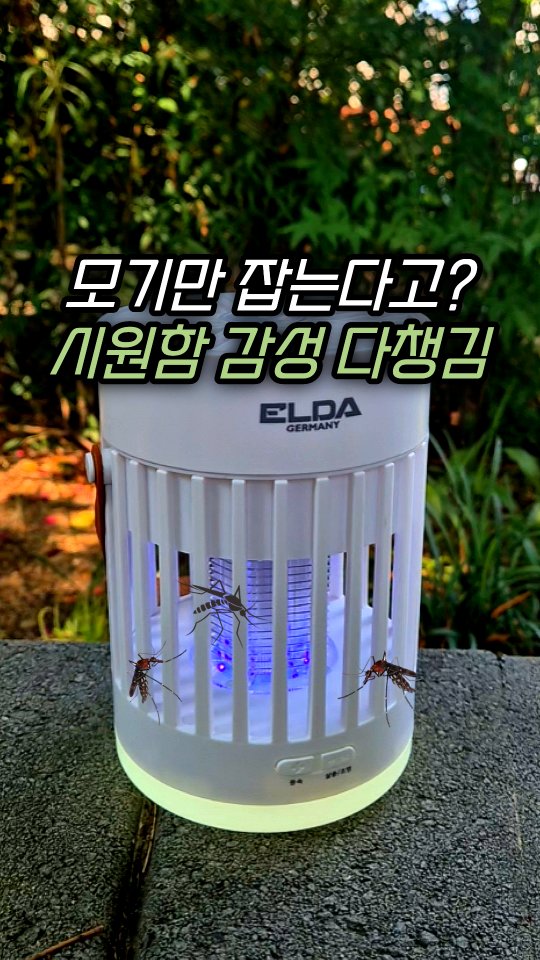 성주 솔가람피크닉