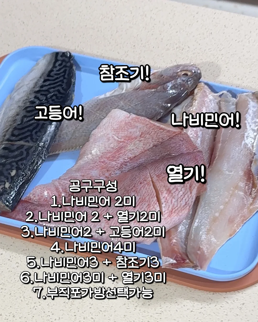 파리 스냅 촬영 3
