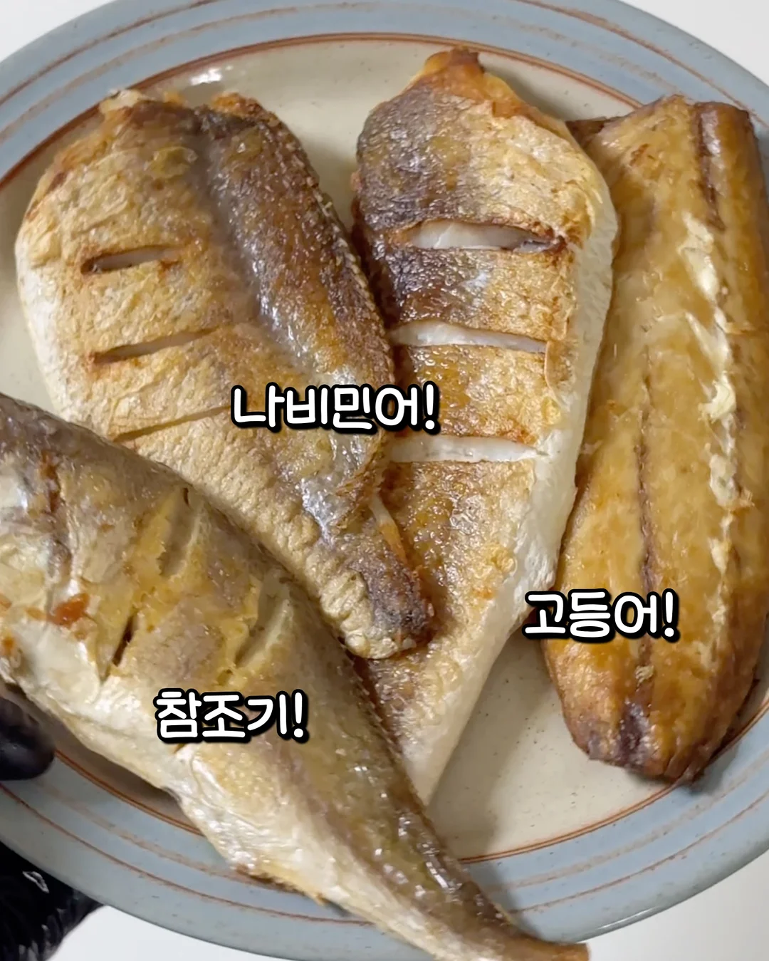 파리 스냅 촬영 4