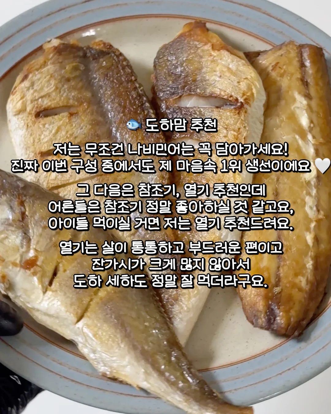 파리 스냅 촬영 5