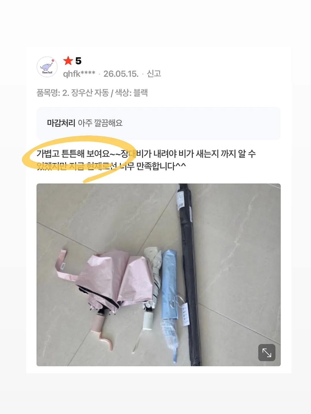 대만산 애플망고 15