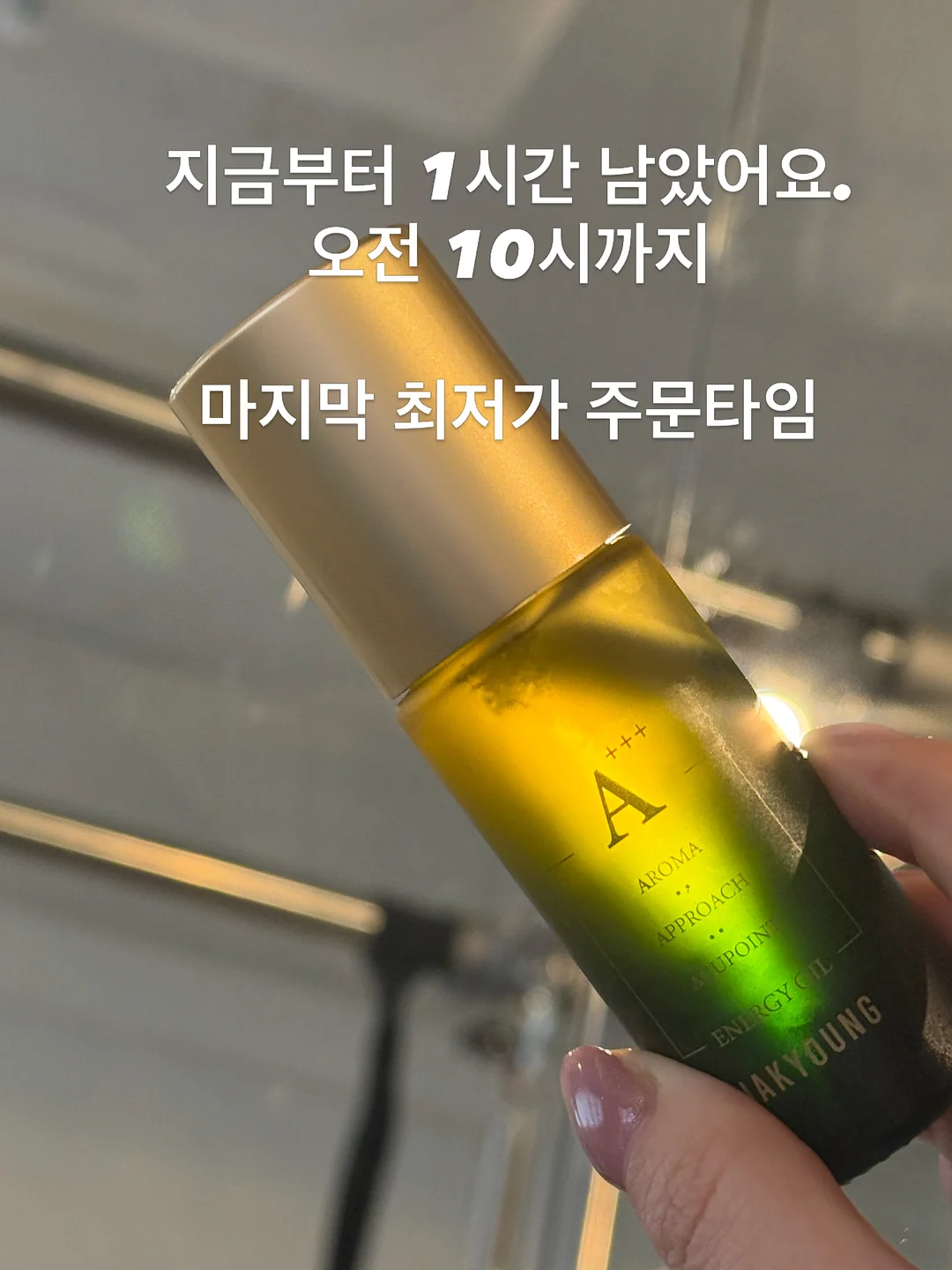 호루티 1