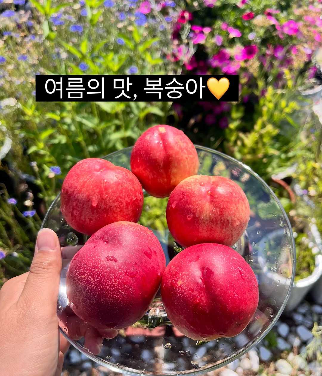 지속력 틴트 7