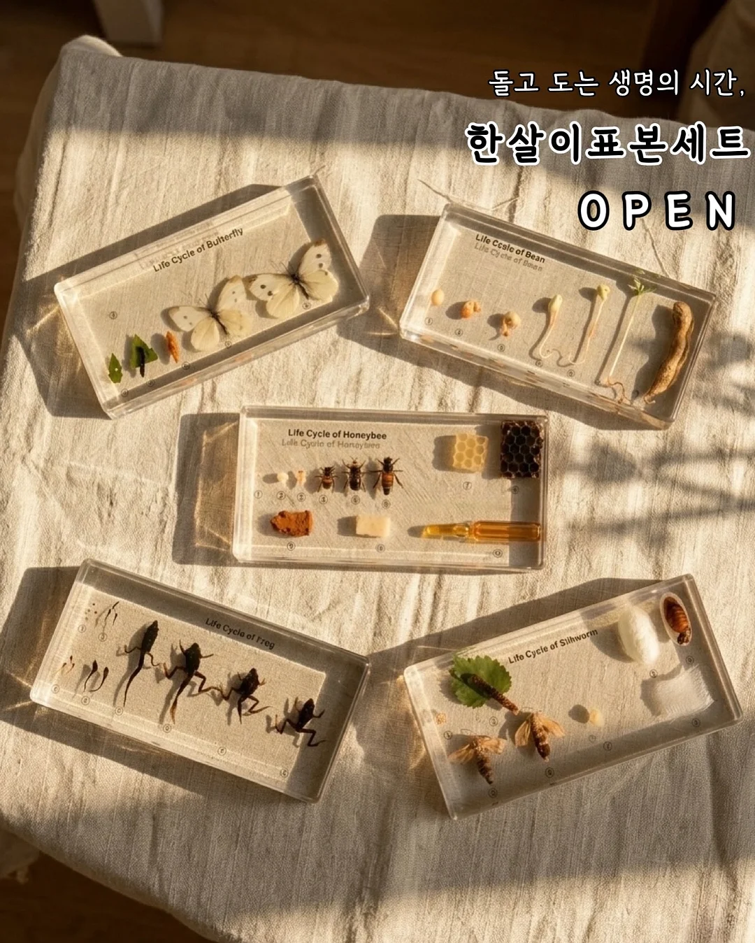 에스파놀라 트러플 오일 1
