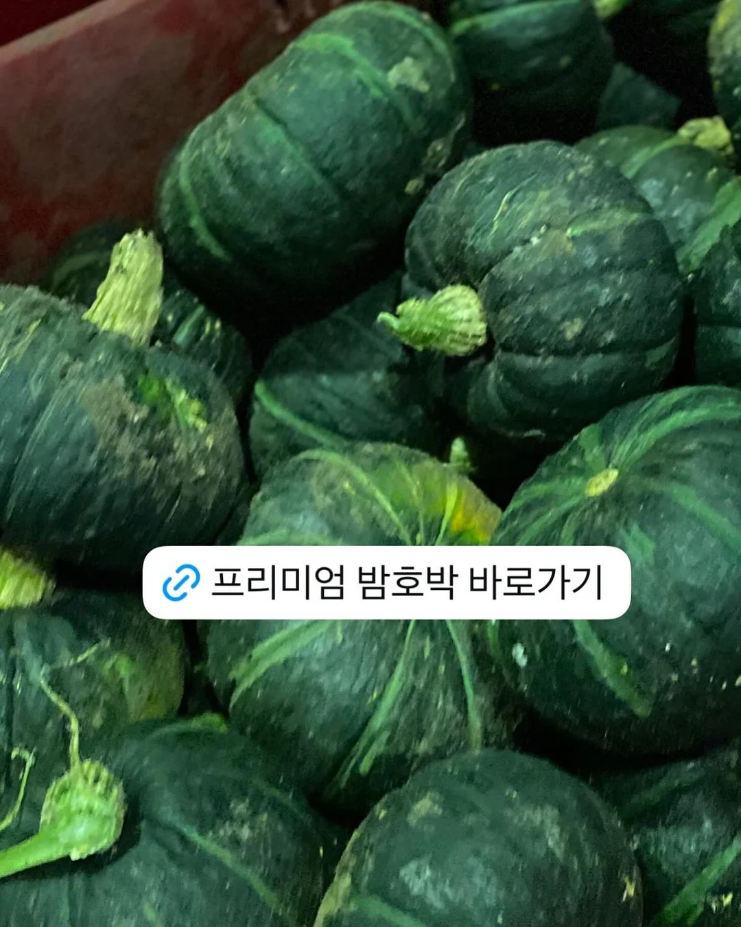 만감류 카라향