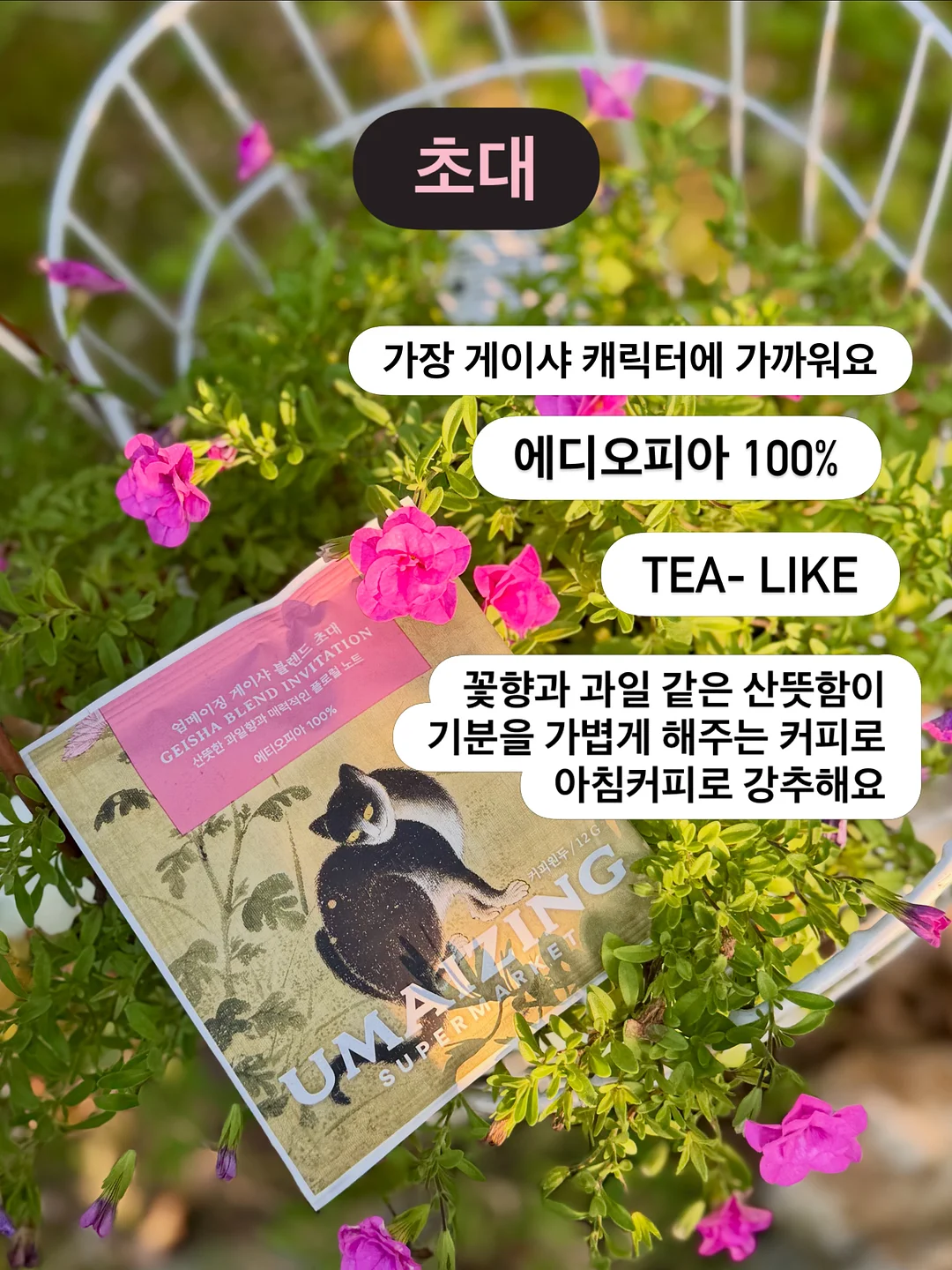 끌리드 디자인펜슬 & 납작 디자인펜슬 2