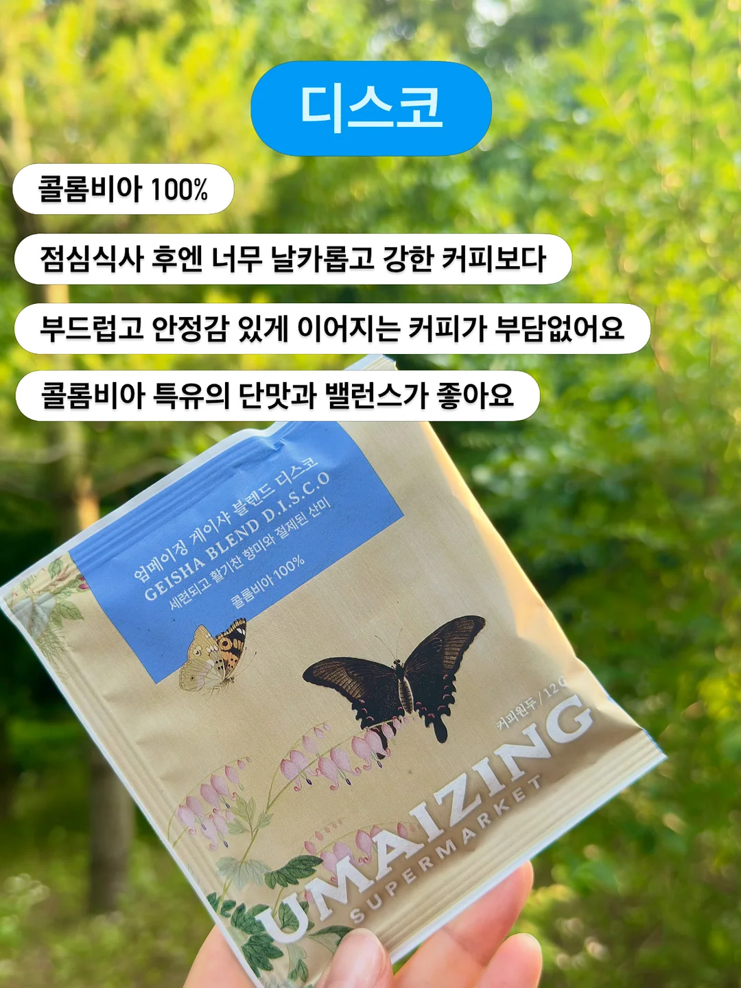 끌리드 디자인펜슬 & 납작 디자인펜슬 3