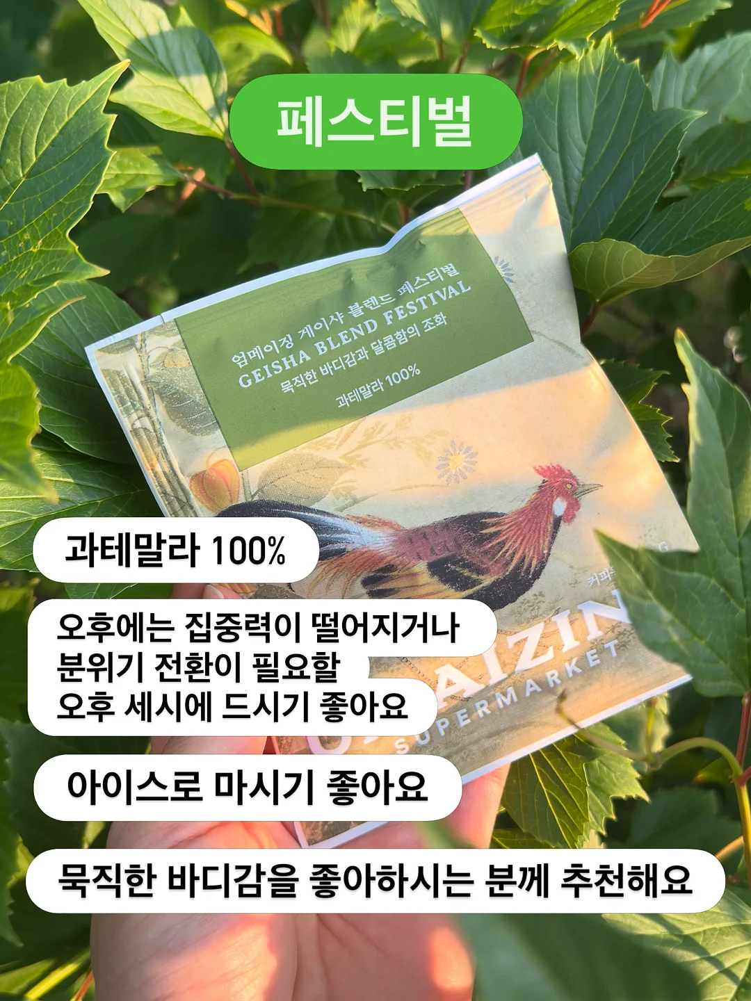 끌리드 디자인펜슬 & 납작 디자인펜슬 4