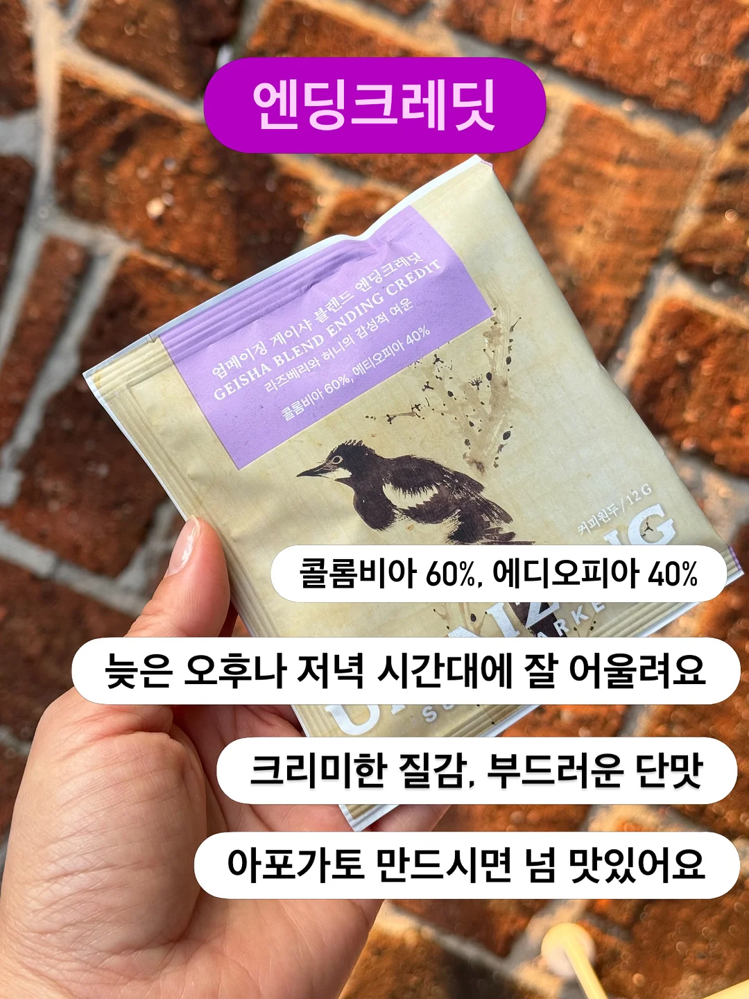 끌리드 디자인펜슬 & 납작 디자인펜슬 5