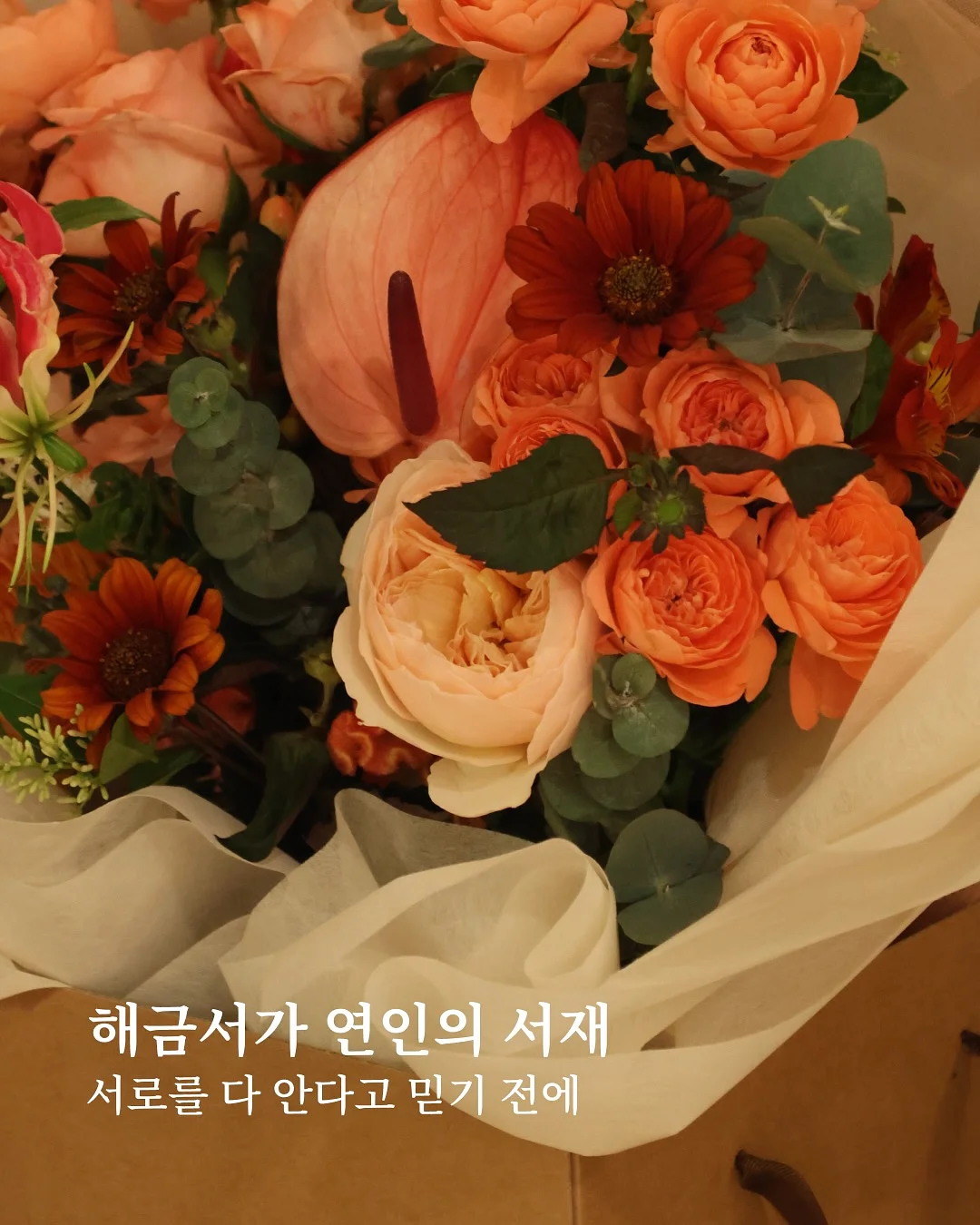 컵건조대 1